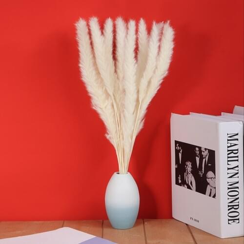 15Pcs/Set Natural Dried Flower Dried Pampas Grass Plants Bunch Artificial Flowers Bouquet For Home Wedding Decoration