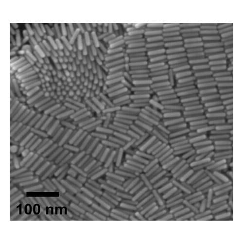PEG modified Au nanorods