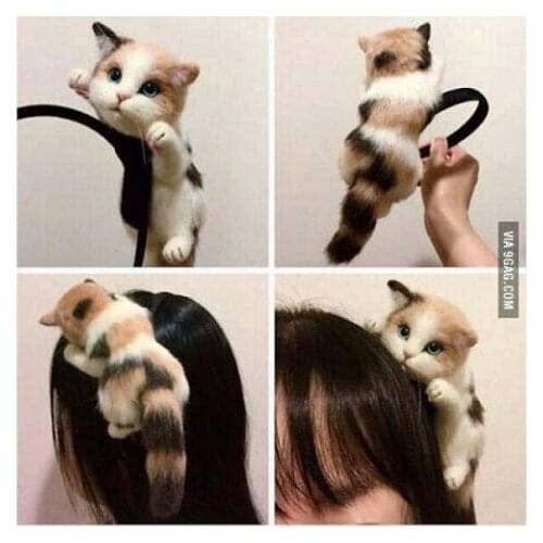 Papa Cat Cute Kitty Headdress GIRLS Cute Model Kitten Headband Barrettes Hair Bands