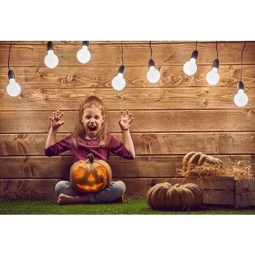 Halloween wood board backgrounds photography vinyl fotografia children photography backdrop for photo studio video props lv-2171