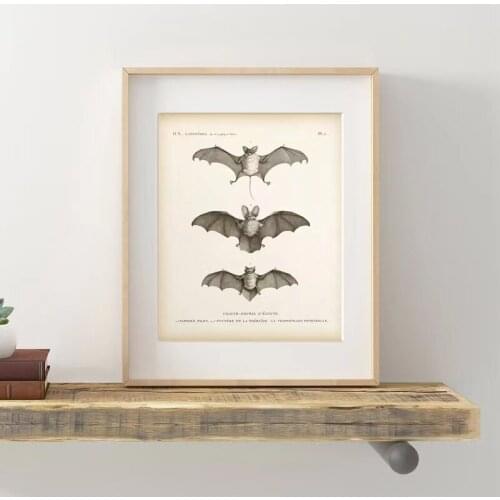 Bat Animal Vintage Decorative Canvas Painting Wall Poster Artistic Picture For Living Room Decoration Home Decor