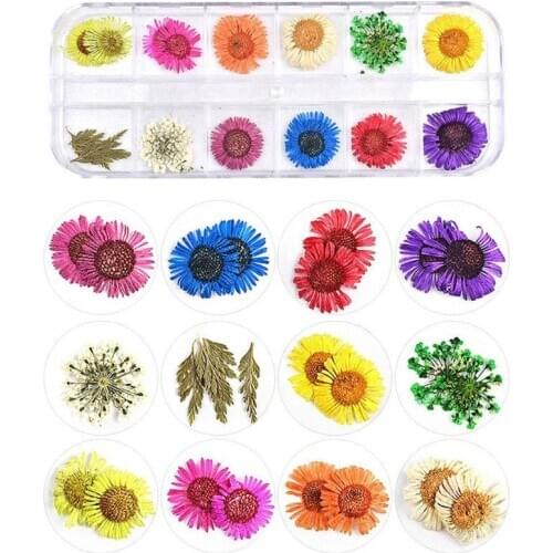1 Box Real Pressed Flower Leaves Dried Daisy Flower Resin Art Jewelry Making