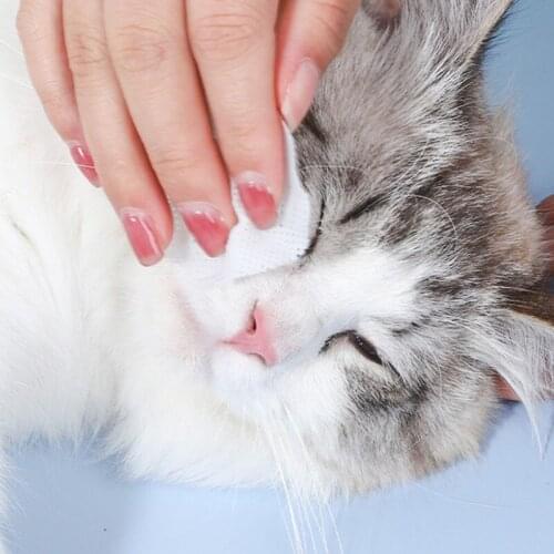 130PCS/Set Pet Eye Wet Wipes Dog Cat Pet Cleaning Wipes Grooming Tear Stain Remover Gentle Pet Non-initiating Wipes Towel