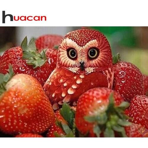 Huacan Full Square/Round Diamond Painting 5d Animal Owl DIY Diamond Embroidery Strawberry Handicraft Home Decor