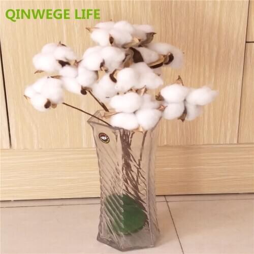 10pcs Natural Real Dry Flower 36cm White Cotton Flower in Wedding Home Decoration FL1901