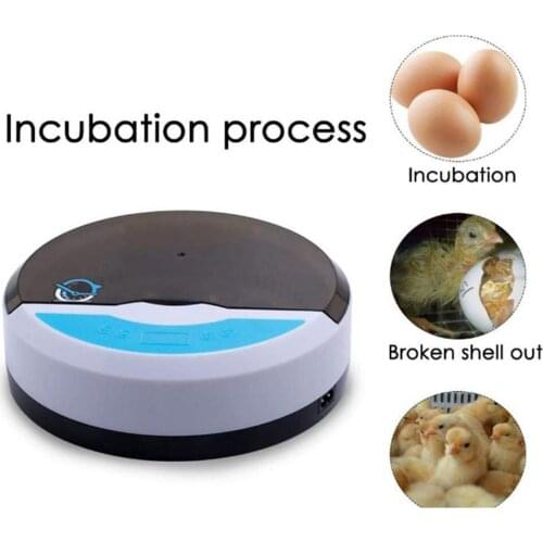 Mini 9 Egg Incubator Farm Hatching Automatic Digital Temperature Humidity Control Brooder Poultry Quail Chicken Duck Bird LED