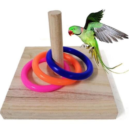 Parrot Bird Wooden Board Plastic Ring Training Loop Educational Chew Parrot Toy Pet Educational Gifts