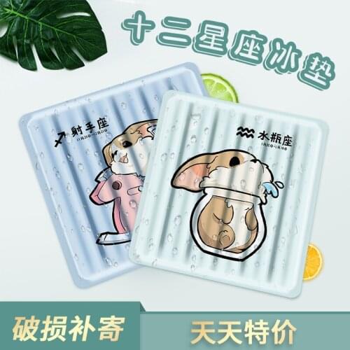 Constellation Ice Pad Water Injection Cute Summer Pet Home Car and Office Cooling Cushion Student Cold Pillow Cool Pad