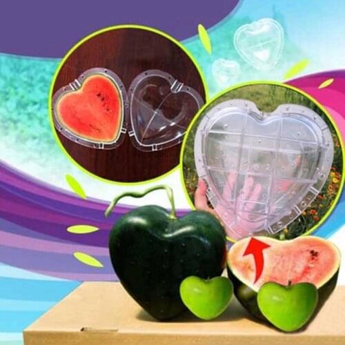 Watermelon Heart-Shaped Shaping Growth Molds Heart Fruit Mould Plant Growing Tray Fruit Growing Forming Mould