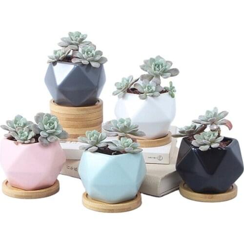 Succulent Gardening Home Potted Office Green Plants Black and White Color Desktop Ceramic Flower Pots pots for plants