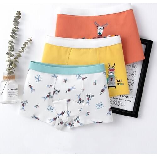 3Pcs/lot Teen Underwear Young Boys Panties Kids for Big Boys High Quality Teenage boy Cartoon Animal Print Shorts for 2-18 Years