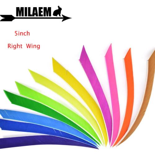 50pcs 5inch Archery Turkey Feather Right Wing Feather For Carbon Wooden Bamboo Arrow Shaft Arrow Fletching Shooting Accessories