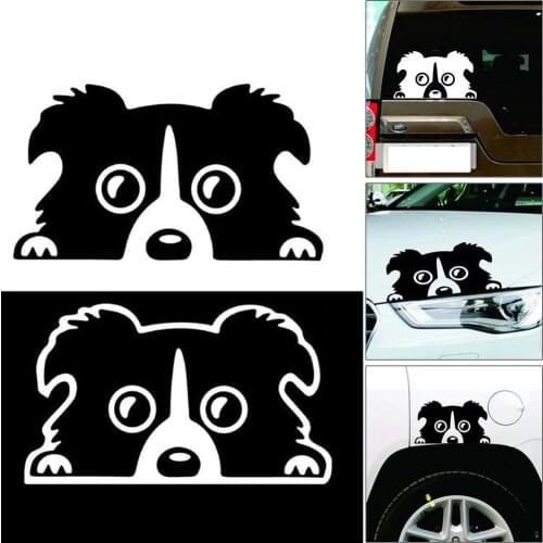 New 14x8CM Border Collie Cute DOG Personality Reflective Glass Rear Pet Car Sticker Black/White Car Moto Festival Decoration