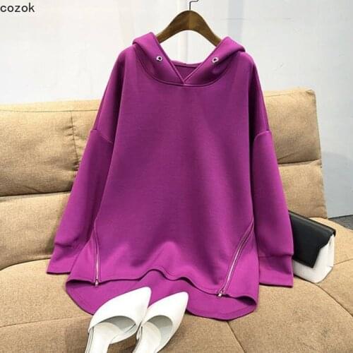 Thin Women Hooded Sweater 2021 Spring and Autumn New Korean Loose Size Long Sleeve Zipper Top Solid Casual Plus Size Hoodies