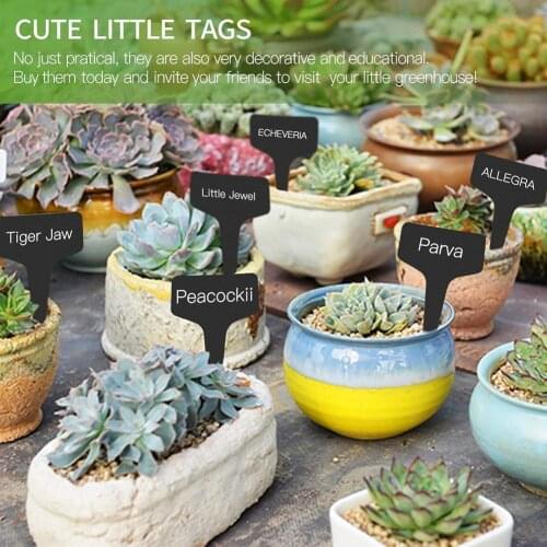 Horticultural Flower Label Plant Markers Garden Bonsai Gardening Sign Labels On Sticks Tags Succulent Soil Stake Seedings P P8N8