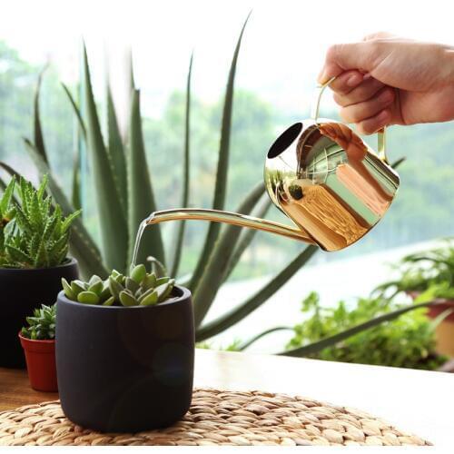 500ml Stainless Steel Watering Pot Gardening Potted Watering Can Indoor Succulent Rose Gold Long Mouth Watering Flower Kettle