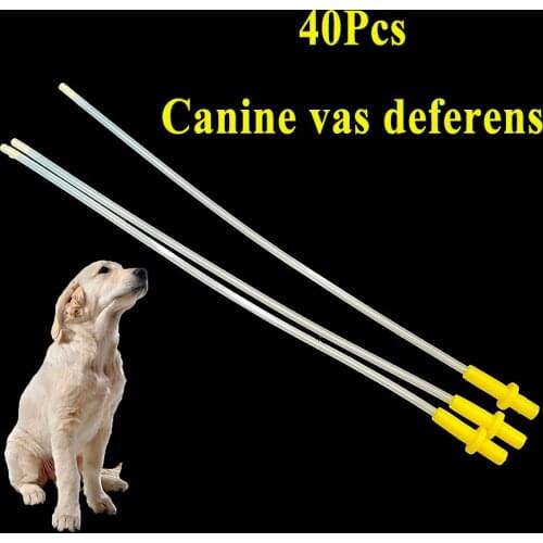 40PCS Canine Disposable Dog Artificial Insemination Tube Catheter Semen Injection Pipe Plastic Vas Deferens Veterinary Clinic