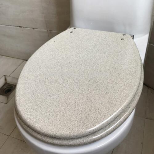 European style Universal resin toilet seat cover,high quality Thickened vintage Slow-Close toilet seats lid,J18008