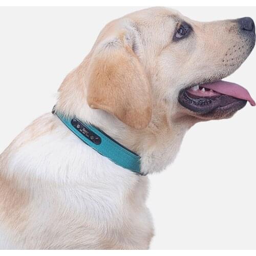 Large Durable Personalized Dog Collar PU Leather Padded Pet ID Collars Customized for Small Medium Large Dogs Cat