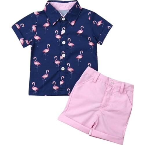 Hot Children Summer Clothing 2PCS Set Toddler Kid Baby Boy Flamingo Tops T-shirt+Shorts Pants Outfits Short Sleeve Clothes 1-6T