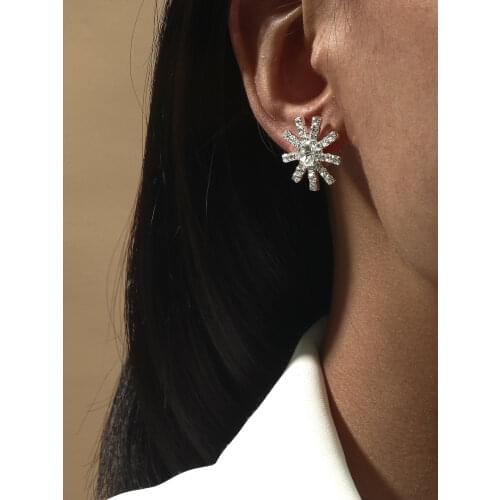 Le Baiser New Hot Popular Luxury Zircon Stud Earrings Elegant Earrings for Women and Men