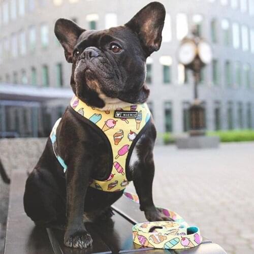 Ropa Perro Collars, Harnesses And Leashes