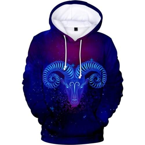 Creative 12 Zodiac Signs Hoodies Sweatshirt Aries Taurus Gemini Cancer 12 Constellation Men/Women Clothing 3D Print Casual Tops