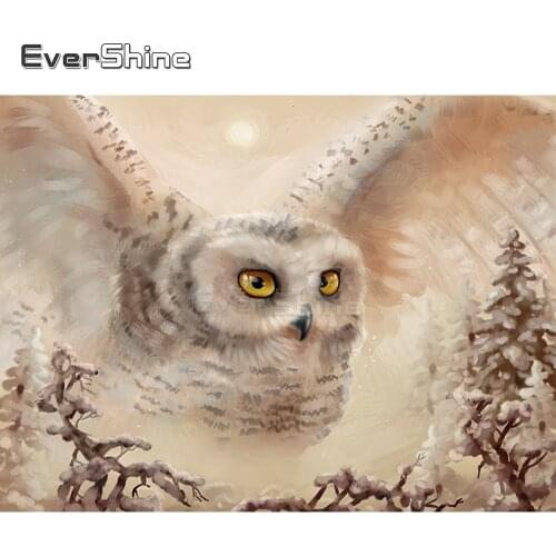 EverShine DIY Diamond Painting Full Square Owl Diamond Embroidery Animals Cross Stitch Rhinestones Art Decoration For Home