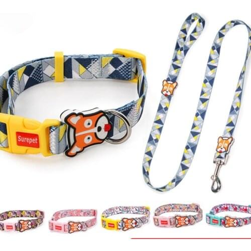 Fashion Colorful Dog Leash and Collar Set for Small and Medium Dog Walking Rope Dog Chain Pet Products