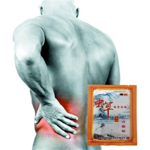 24Pcs Cordycep Medical Pain Relief Plaster to treat back pain ,leg pain Rheumatic Arthritis Cervical Spondylosis Relief Fatigue