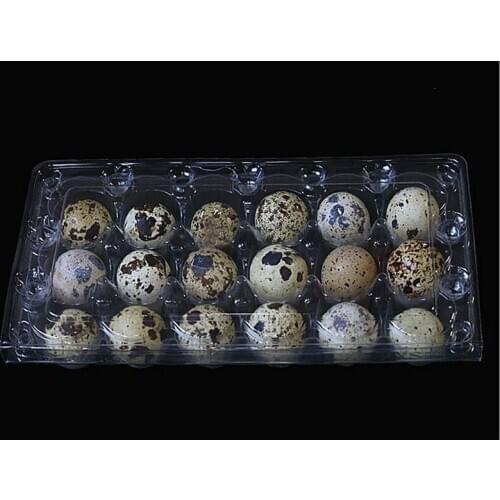 900 stks/partij 18 Gaten 198*41*133 cm Kwarteleitjes Container Plastic Clear Ei Verpakking Opbergdozen Groothandel gratis Verzen