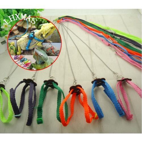 Adjustable Bird Parrot Leash Reptile Lizard Harness Leash Training Walk Running Cable Nylon Rope Harness D134