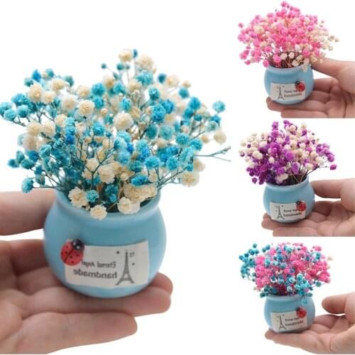 Dried Flower Gypsophila With Small Vase Home Potted Decorative Creative Gift Souvenir Eternal Flowers Car Potted Plant Ornaments