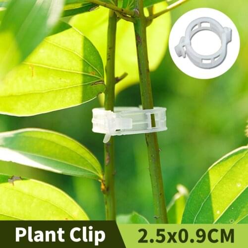 Plant Fixing Clips Garden Greenhouse Ornament Tied Bundle Branch Clip Hanging Trellis Vine Connects Fruits Binding Clamp