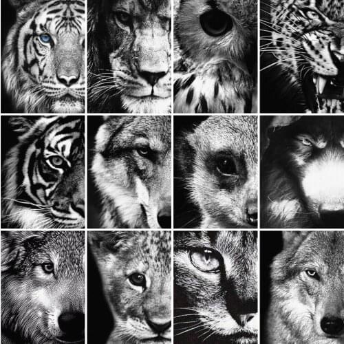 AZQSD Diy Coloring Picture By Numbers Lion Owl Wolf Canvas Art Painting By Numbers Animals Acrylic Paint Decor For Home