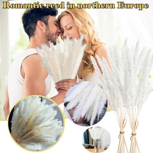 15PCS Pampas Grass Real Dried Plants Natural Dried Flowers Bouquet Wedding Home Easter Decorations Dried Grass Home Decor