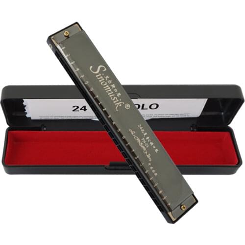 Aiersi 10 Holes and 24 Holes Key of C Harmonica for Beginner Adult Kid, Performance Competition Mouth Organ with Hard Case