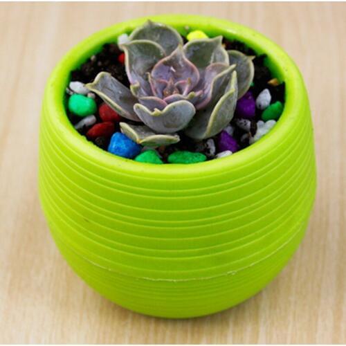 Haodeba Plastic Pots China