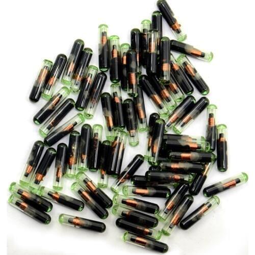 10pcs/lot ID48 auto transponder chip ID 48 Car Key Chip 48 glass with free shipping