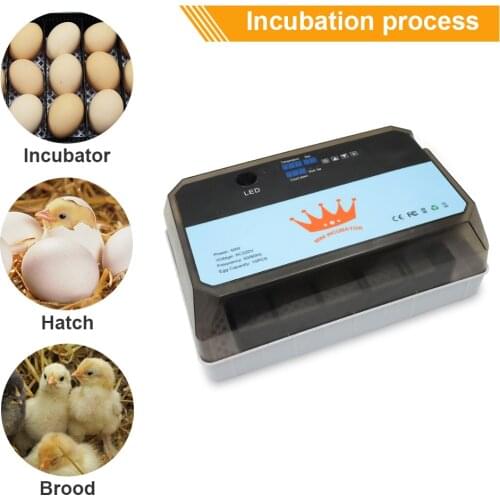 High Hatching Rate Farm Hatchery Incubator Brooder Machine 15 Egg Hatchers Automatic Egg Incubator Chicken Brooder