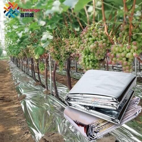 Outdoor Double Side Reflective Mylar Film Patch Greenhouse Agricultural Silver Coated Mulch Fruit Promoting Red Warm Blanket