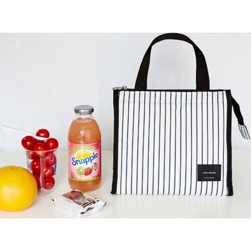 Lunch Bags For Women Insulated Bento Box Kids School Food Organizer Waterproof Camping Food Drink Cooler Bag