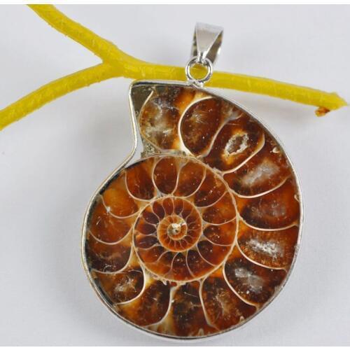 Natural Ammonite Fossil Inlay Pendant Jewelry For Woman Gift Fashion S560