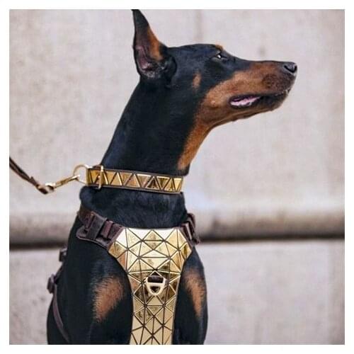 PAWOOF Designer Collections Dog Harness