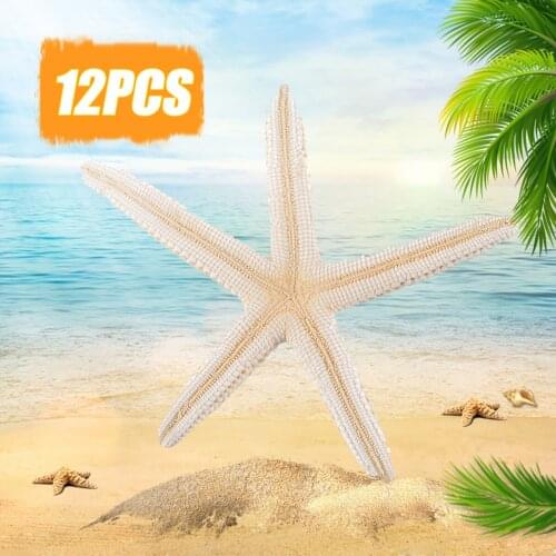 12PC White Natural Finger Starfish Decoration Props Beach Hut Wedding Birthday Party Outdoor Scene Layout 7-11cm
