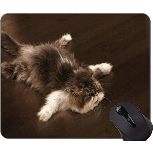 Mouse Pad with Stitched Edge,Fluffy Humor Kitten Lying Down Cat Non-Slip Rubber Base Mousepad