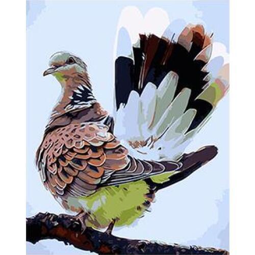 MaHuaf-W656 colorful pigeon painting by numbers on canvas wall pictures coloring by numbers with acrylic paints for home decor