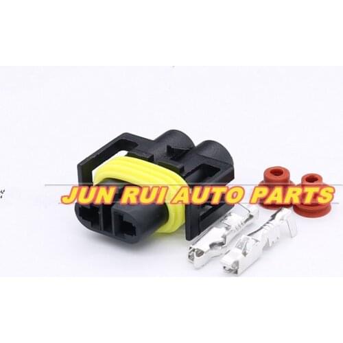 10pcs/lot For Delphi 2 Pin Kit 880 Socket Connector Fog Lamp Light H11 H8 H9 Lamp Socket 12124819