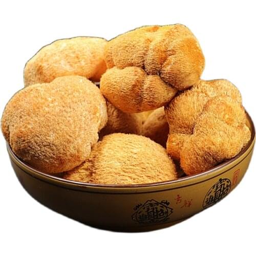 LIONS MANE MUSHROOM (MONKEY HEAD), DRIED HERICIUM ERINACEUS MUSHROOM