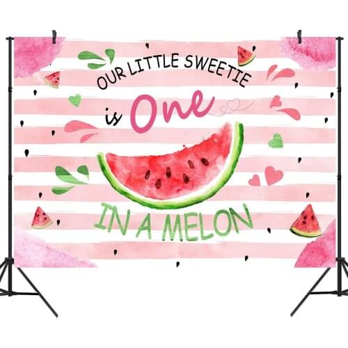 Watermelon Photography Backdrop Summer One Year Old Birthday Party Baby Shower Boy Girl Children Photography Backdrop